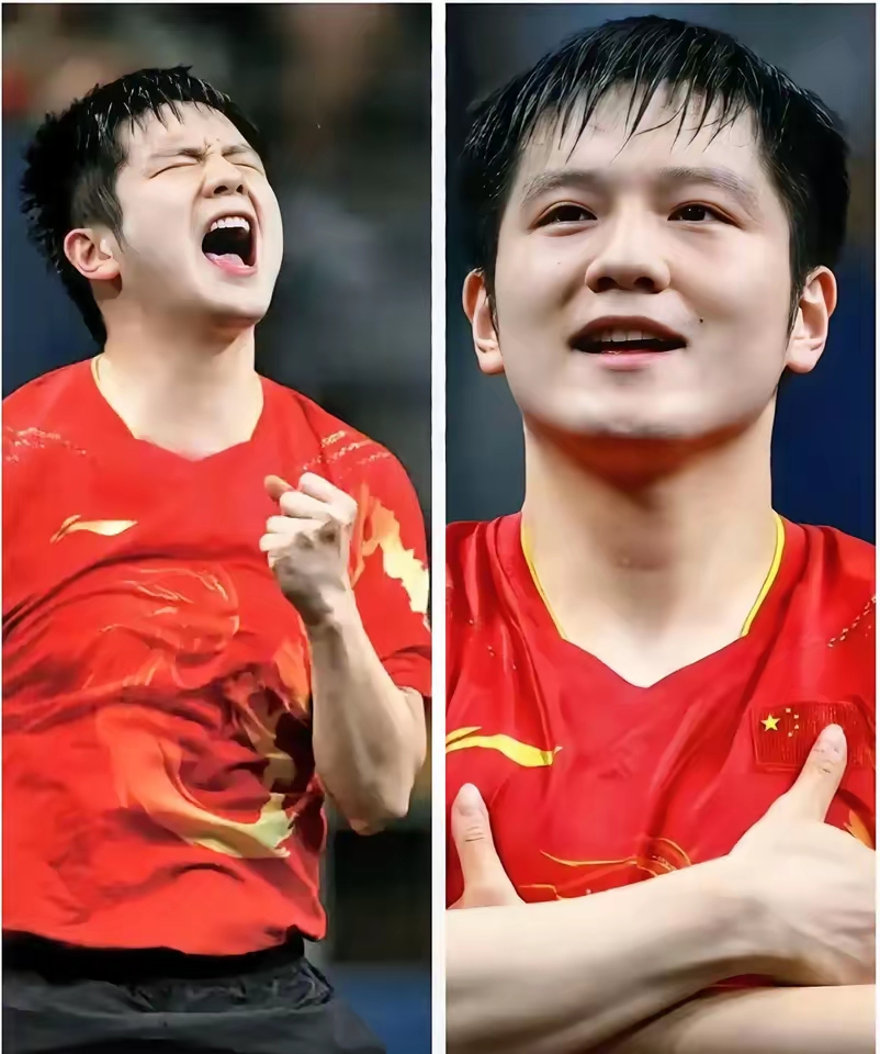 包含波兰乒乓球队强势比利时乒乓球队，樊振东爆发神勇的词条