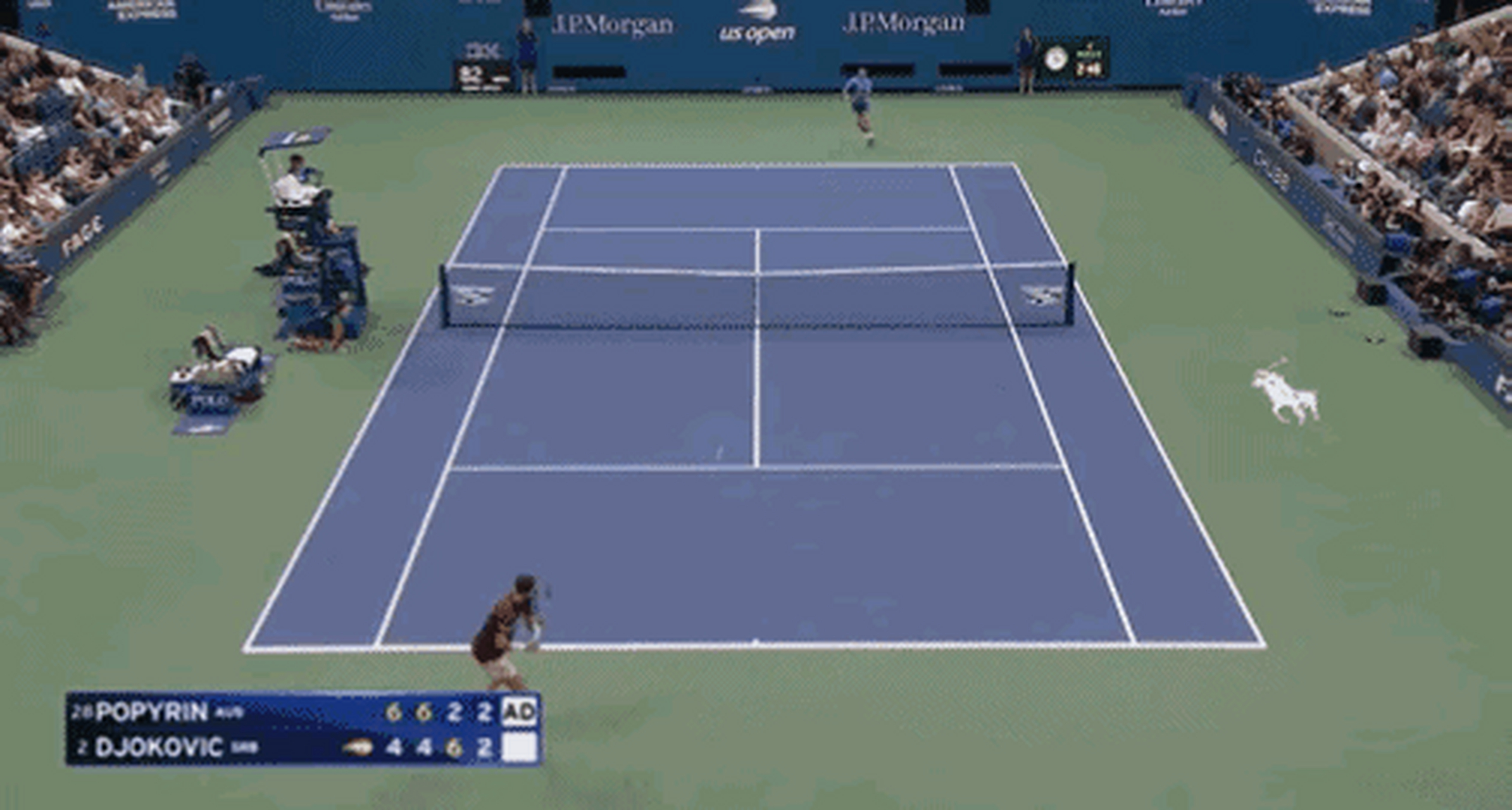 关于美国网球队翻盘世界网球队，德约科维奇关键制胜的信息