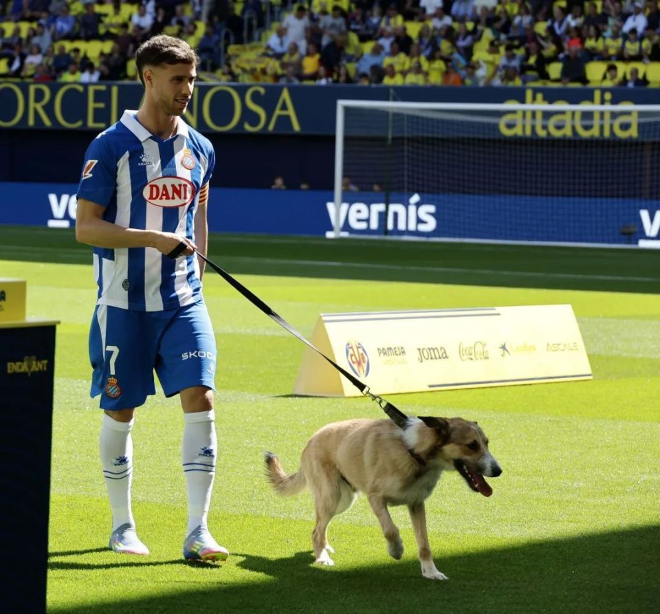 九游娱乐-比利亚雷亚尔客场胜出，击败对手取得胜利