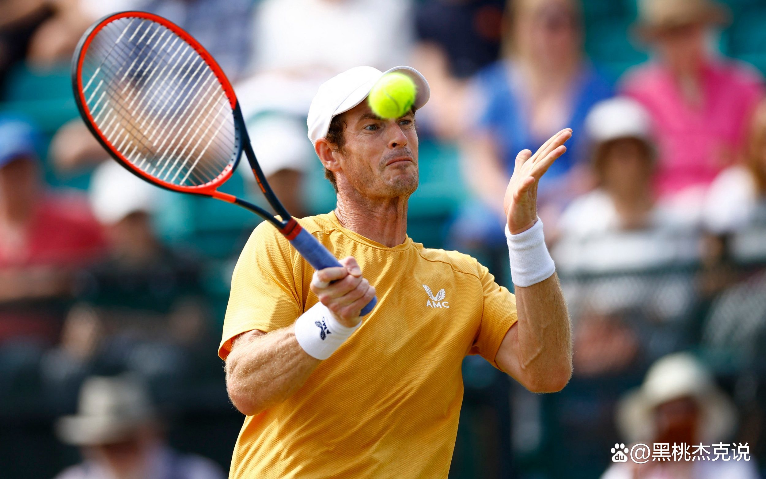 包含戴维斯杯力克温网,穆雷点燃赛场的词条 包含戴维斯杯力克温网,穆雷点燃赛场的词条