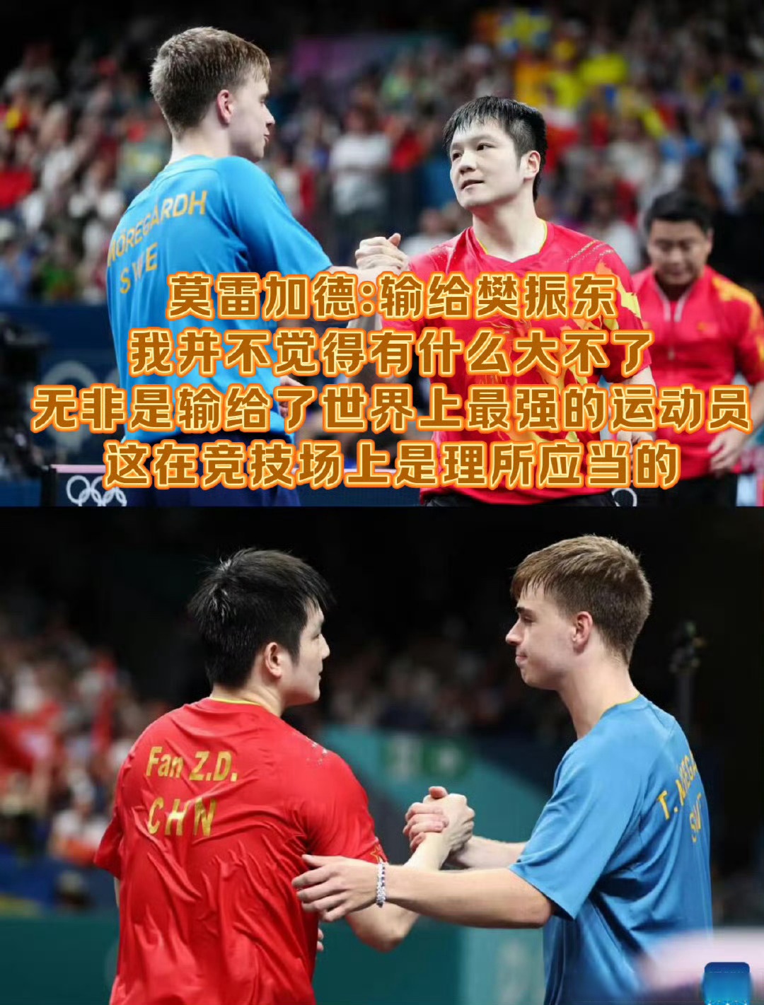 九游体育平台-法国队险胜日本队，樊振东扛起全队