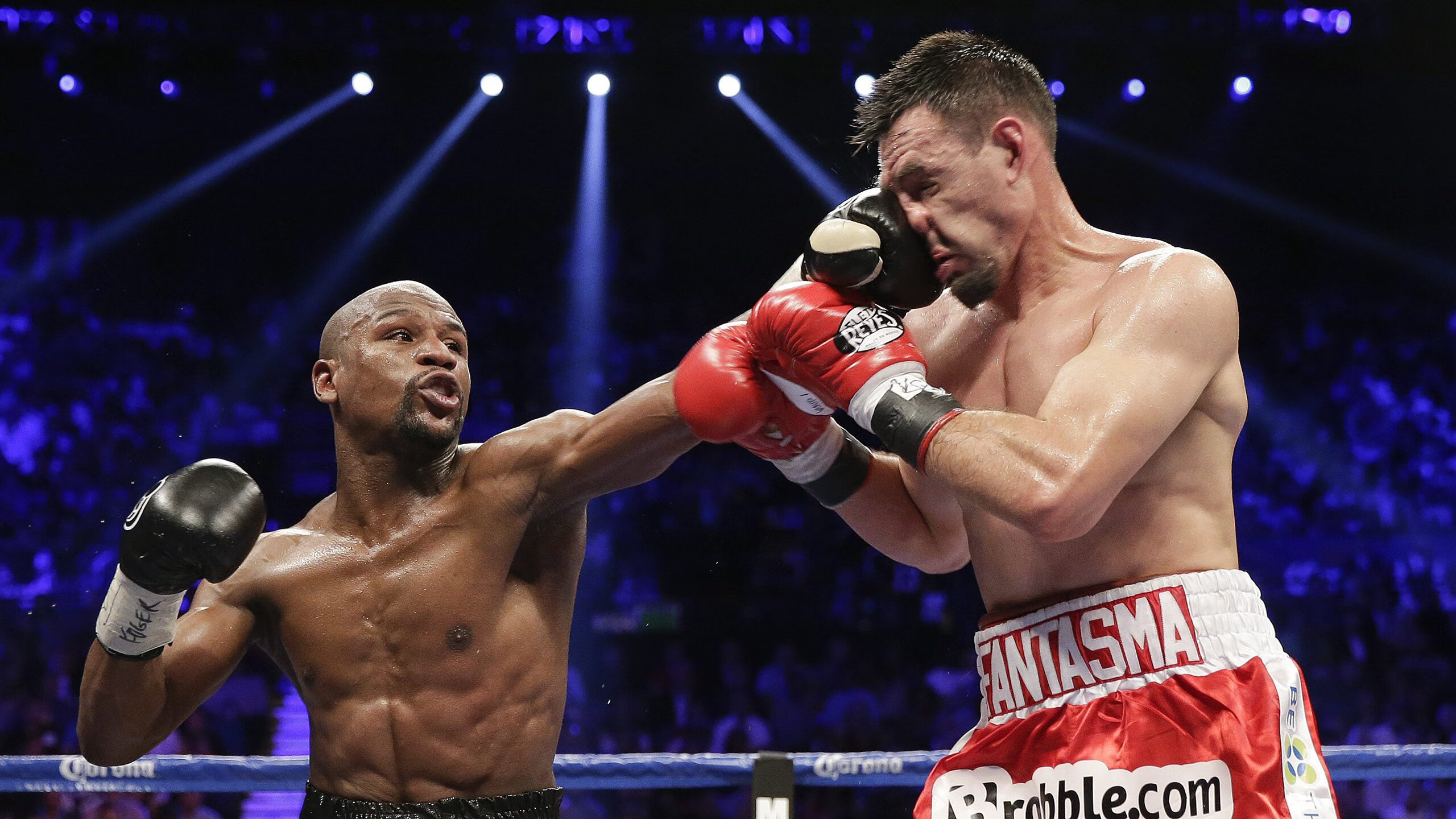 塔图姆末节接管比赛，黄蜂斩落广东队